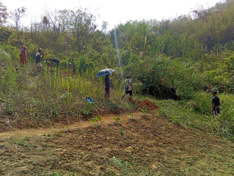 C:\Users\Lavinia Pde\Pictures\Camera Roll\IMG-20220713-WA0038.jpg